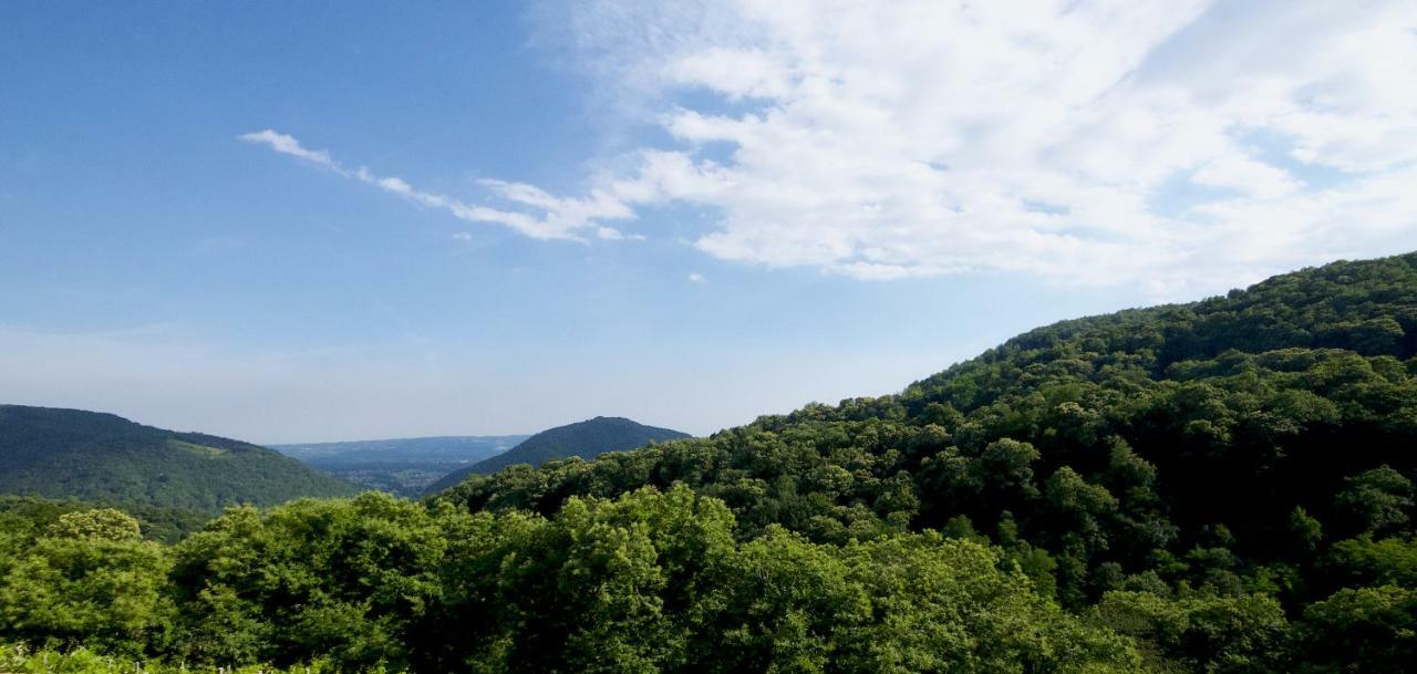Biss Badaliss - Bed & Breakfast Valdobbiadene Luaran gambar